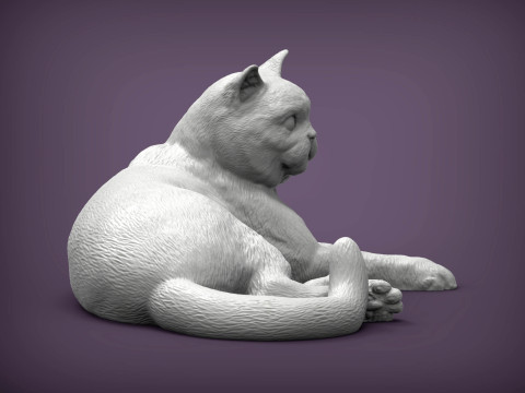 British shorthair cat 3D 打印模型