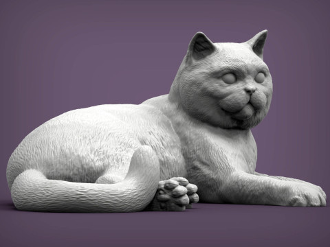 British shorthair cat 3D 打印模型