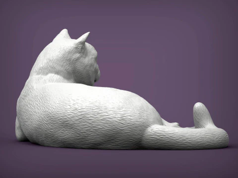 British shorthair cat 3D Print Model