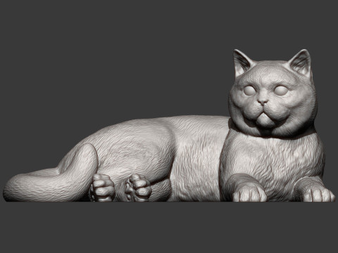 British shorthair cat 3D 打印模型