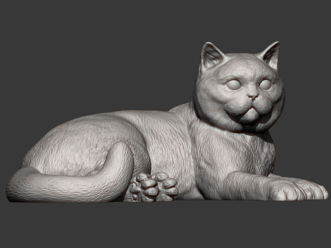 British shorthair cat 3D 打印模型