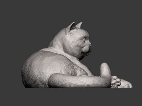 British shorthair cat 3D 打印模型