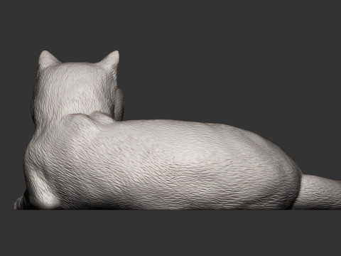 British shorthair cat 3D 打印模型