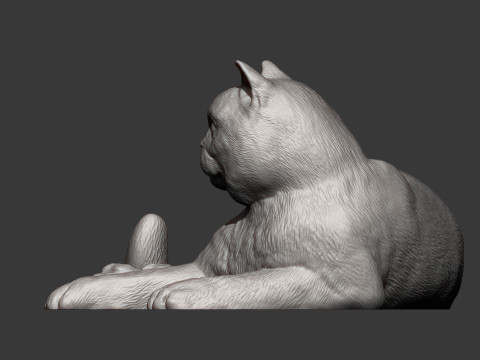 British shorthair cat 3D 打印模型