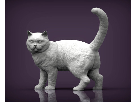 British shorthair cat 3Dプリントモデル