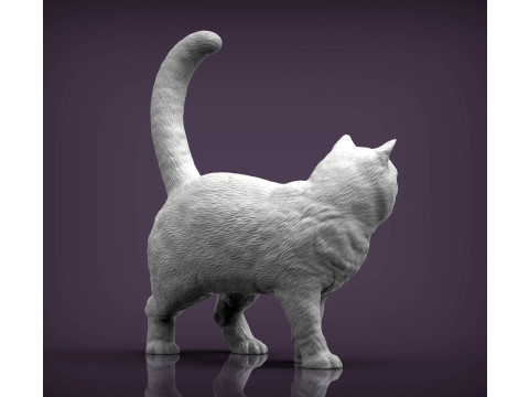 British shorthair cat 3D 프린트 모델