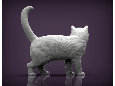 British shorthair cat 3D 프린트 모델