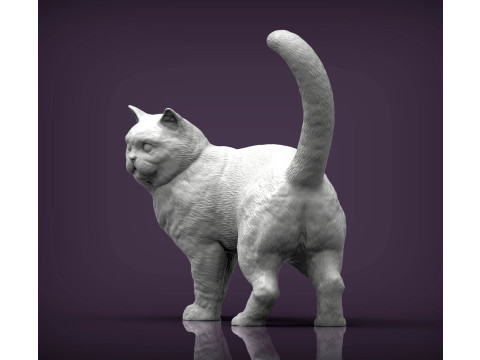 British shorthair cat 3D 프린트 모델