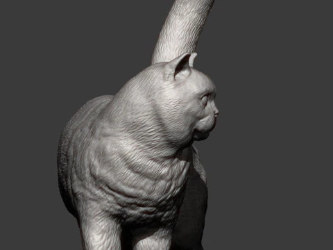 British shorthair cat 3D Print Model