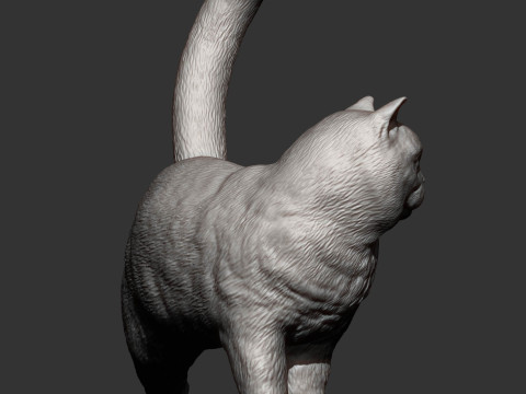 British shorthair cat 3D 프린트 모델