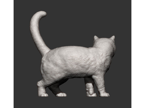 British shorthair cat 3D 프린트 모델