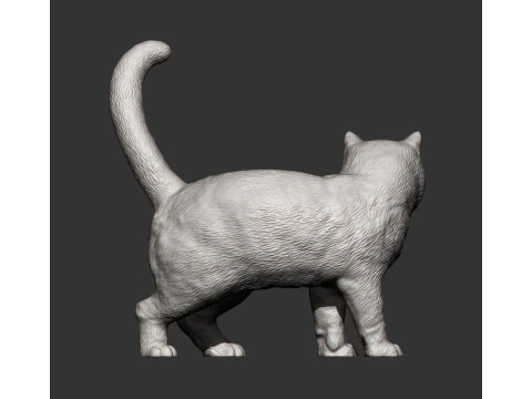 British shorthair cat 3D Print Model