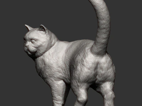 British shorthair cat 3D Print Model