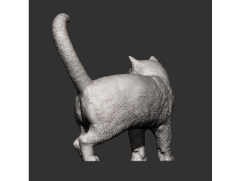 British shorthair cat 3D 프린트 모델