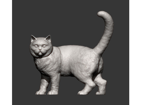 British shorthair cat 3D 프린트 모델