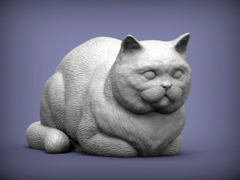 British shorthair cat 3D Print Model