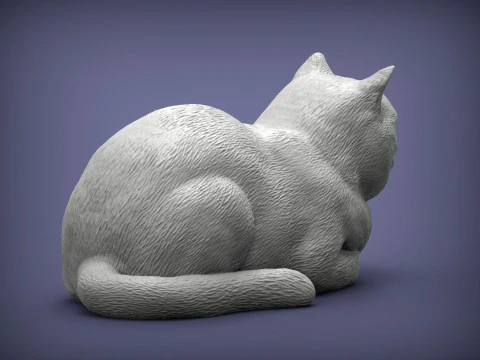 British shorthair cat 3D Print Model