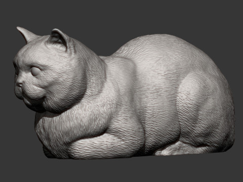 British shorthair cat 3D Print Model