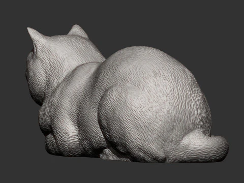British shorthair cat 3D Print Model