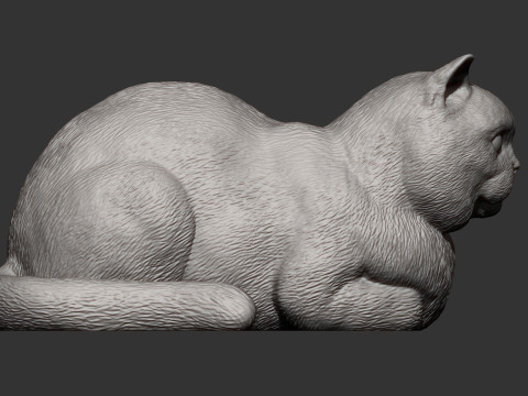 British shorthair cat 3D Print Model