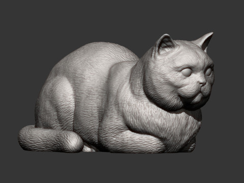 British shorthair cat 3D Print Model