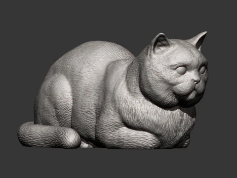 British shorthair cat 3D Print Model