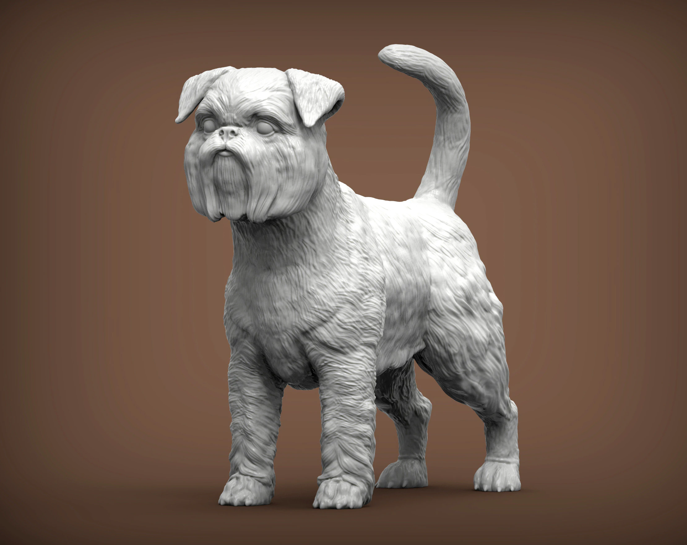 Brussels griffon 3D Print Model .c4d .max .obj .3ds .fbx .stl .blend 
