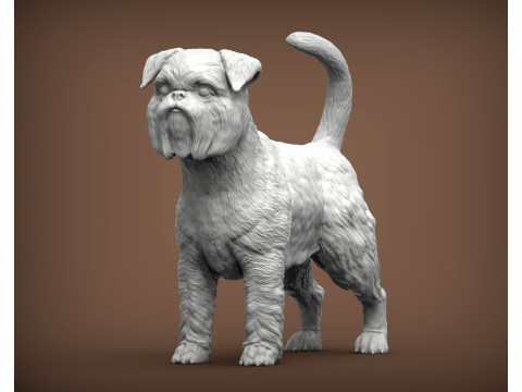 Brussels griffon Modelo de impresión 3D