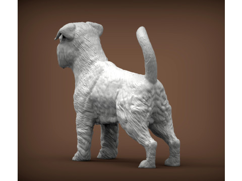 Brussels griffon Model do druku 3D