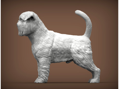 Brussels griffon Model do druku 3D