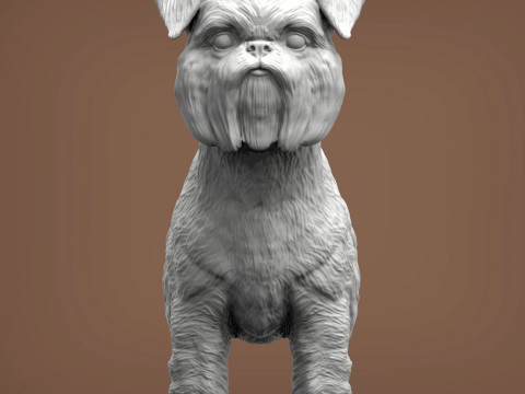 Brussels griffon Model do druku 3D