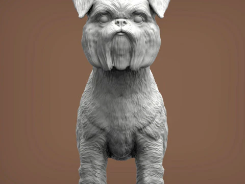Brussels griffon 3D Print Model