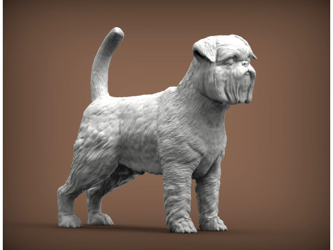Brussels griffon Model do druku 3D