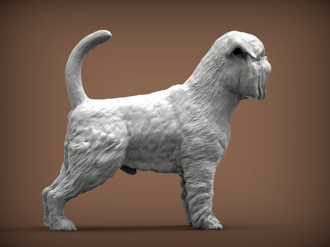 Brussels griffon Model do druku 3D