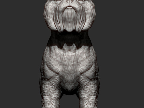Brussels griffon Model do druku 3D
