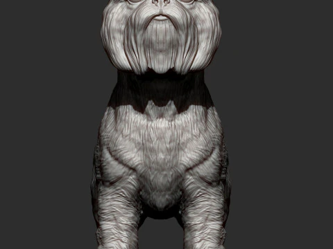 Brussels griffon 3D Print Model