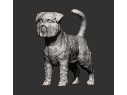 Brussels griffon Model do druku 3D