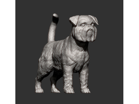 Brussels griffon Model do druku 3D