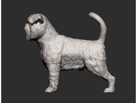Brussels griffon Model do druku 3D