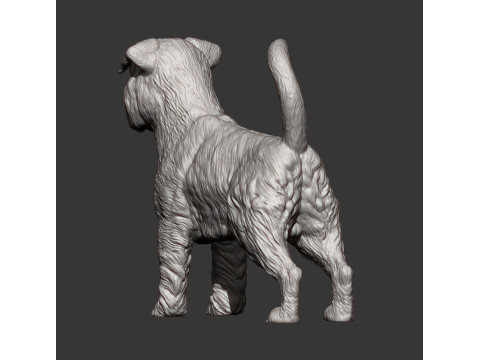Brussels griffon Model do druku 3D