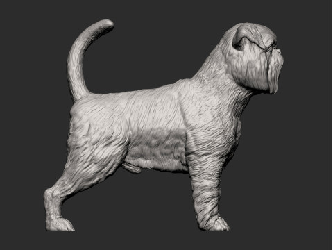 Brussels griffon Model do druku 3D