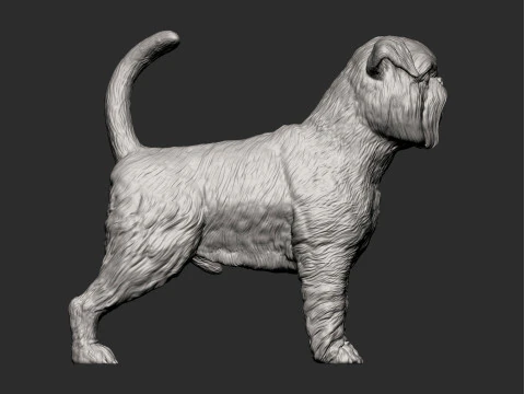 Brussels griffon 3D Print Model