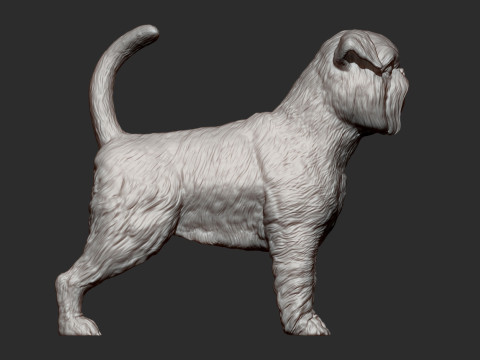Brussels griffon Model do druku 3D
