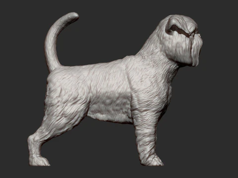 Brussels griffon 3D Print Model