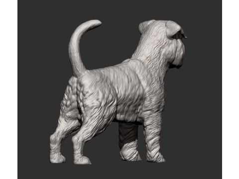 Brussels griffon Model do druku 3D
