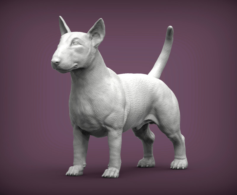 Bull terrier 3D Print Model .c4d .max .obj .3ds .fbx .stl .blend