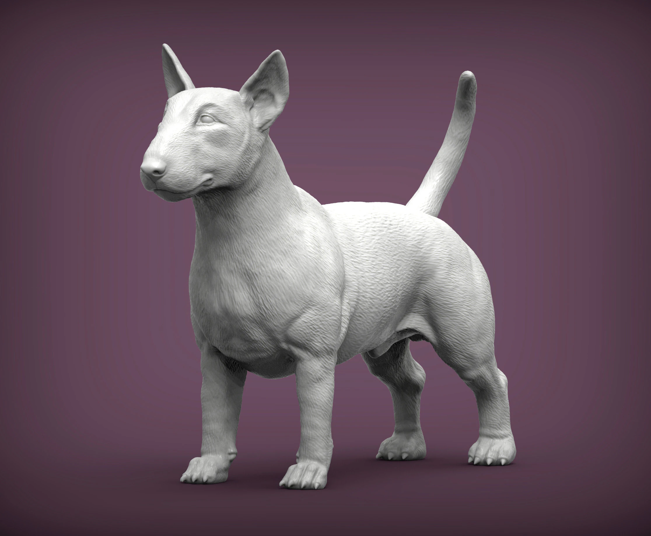 Bull terrier 3D Print Model .c4d .max .obj .3ds .fbx .stl .blend 