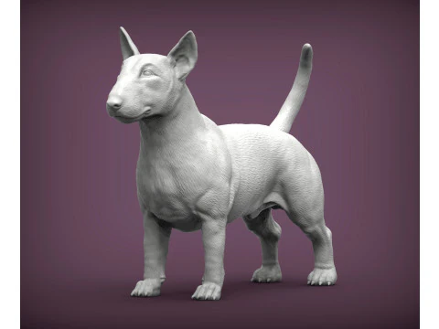 Bull terrier 3D Print Model