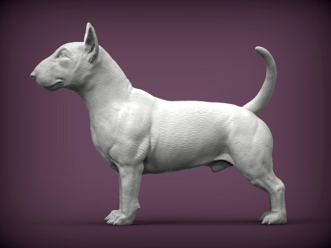 Bull terrier 3D Print Model