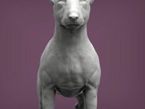 Bull terrier 3D Print Model